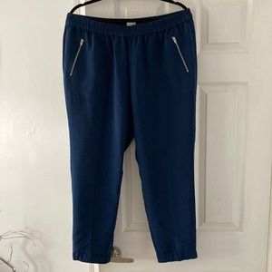 J Crew Dress Jogger Pants Size 14 Navy